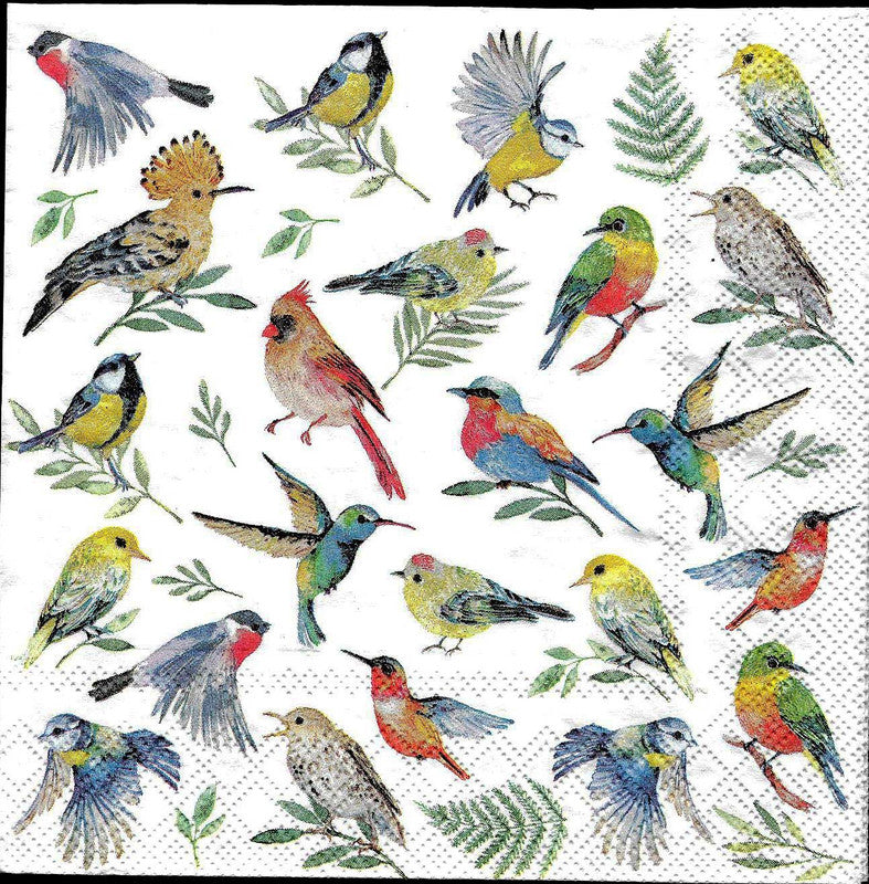 Dewcoupage-Tissue-Colorful-birds-1-Pc