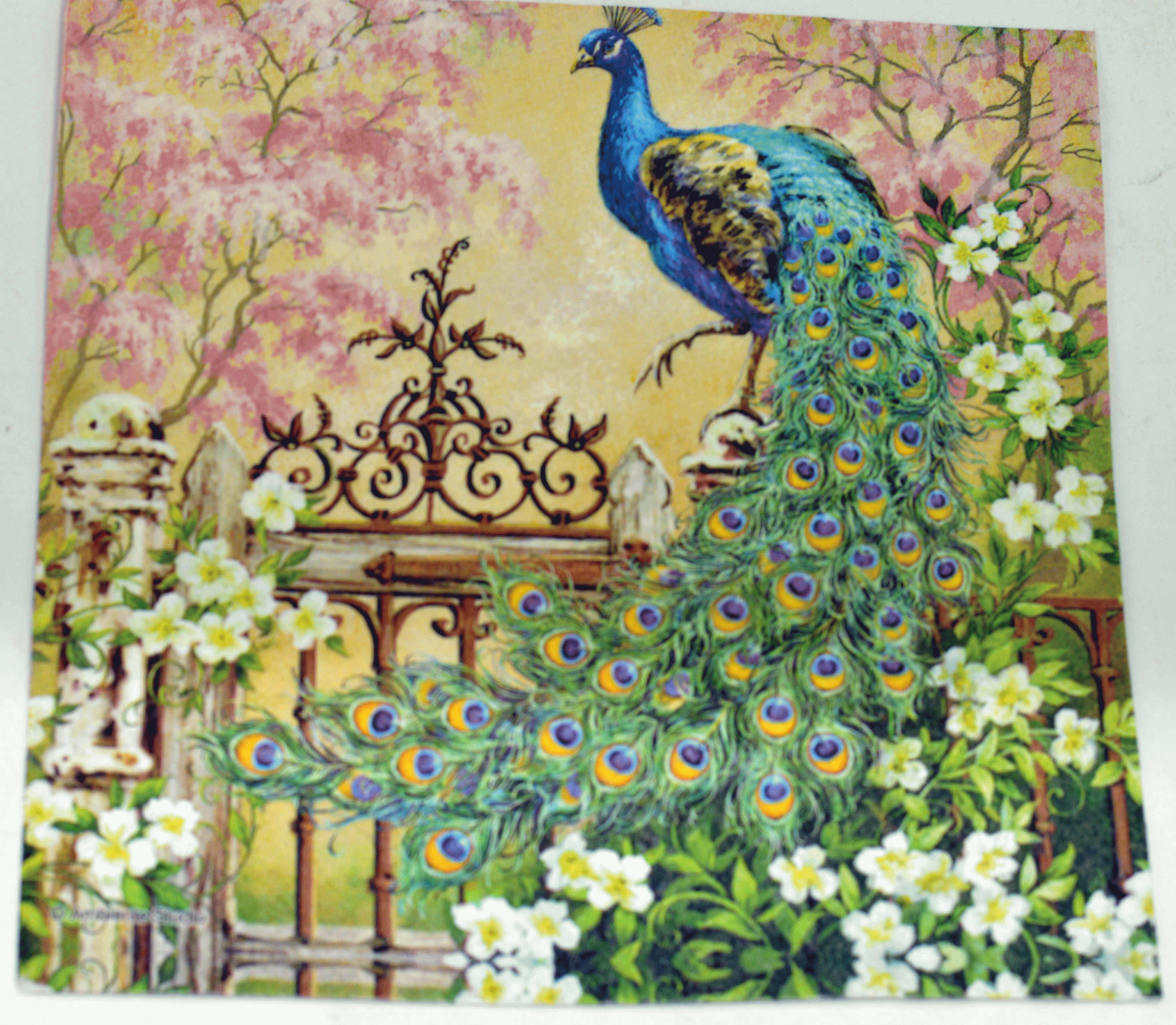Decoupage tissue -Peacock - 1 Pc.