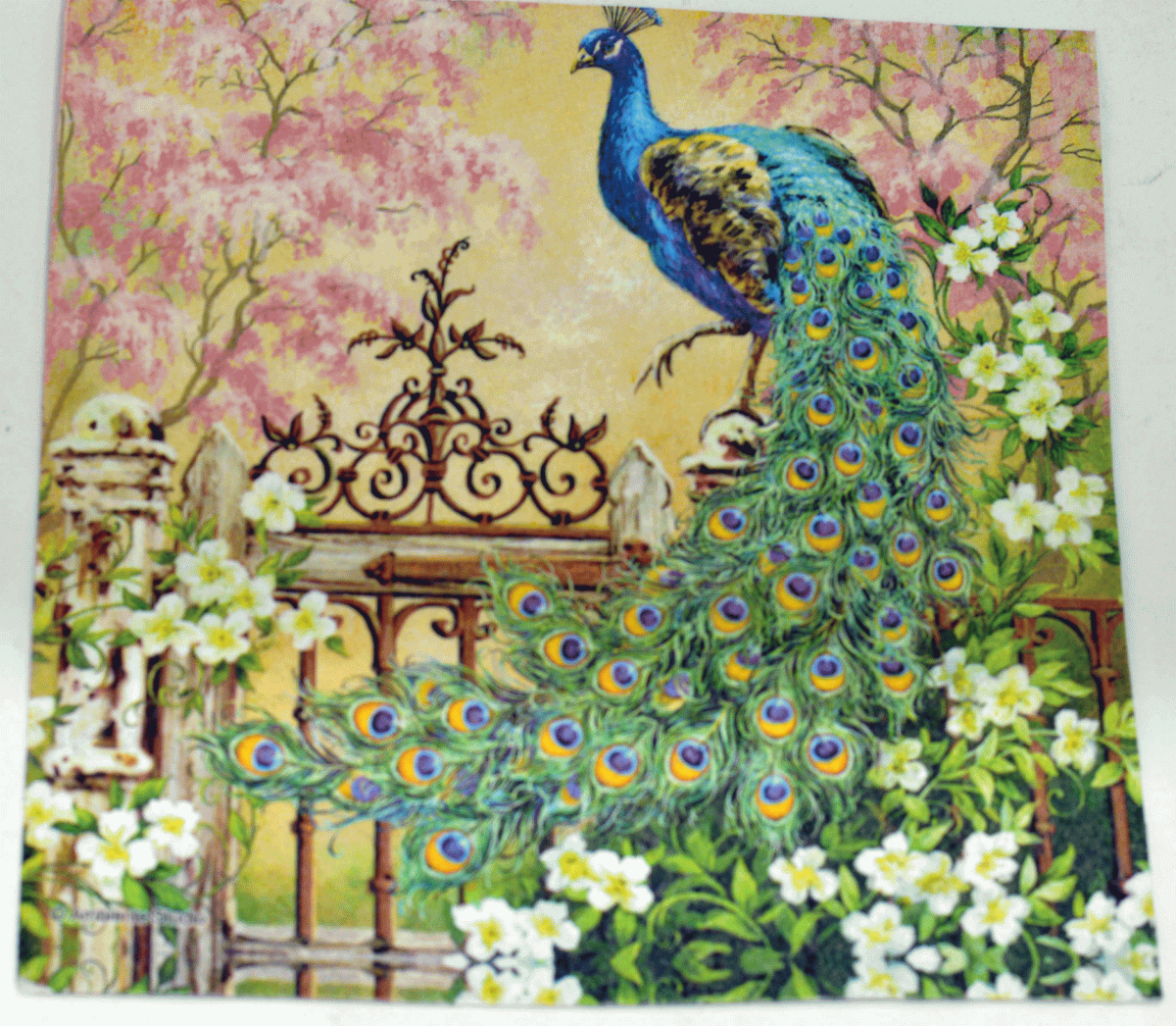 Decoupage tissue -Peacock - 1 Pc.