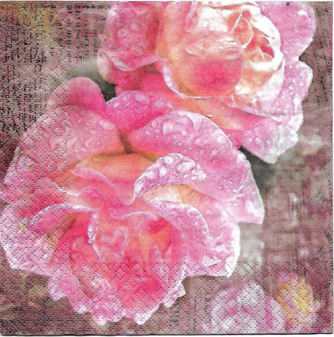 Decoupage Tissue/Napkin - Large roses -  Pc.